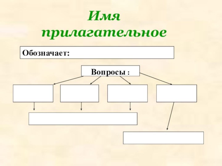 Имя прилагательноеВопросы :Обозначает: