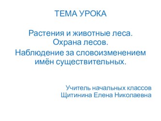 Растения и животные леса. Охрана лесов. Наблюдение за словоизменением имён существительных. план-конспект урока по окружающему миру (4 класс) по теме