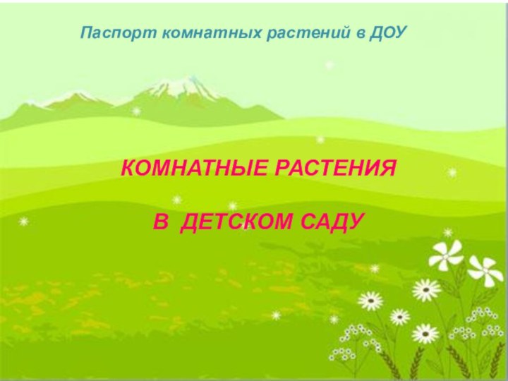 Паспорт комнатных растений в ДОУПаспорт комнатных растений в ДОУКОМНАТНЫЕ РАСТЕНИЯ В ДЕТСКОМ САДУ