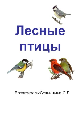 Лесные птицы презентация к уроку по окружающему миру (подготовительная группа)