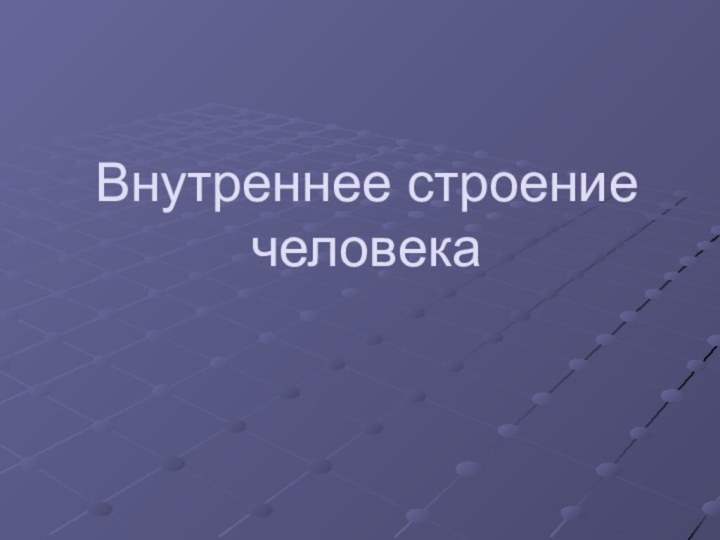 Внутреннее строение человека