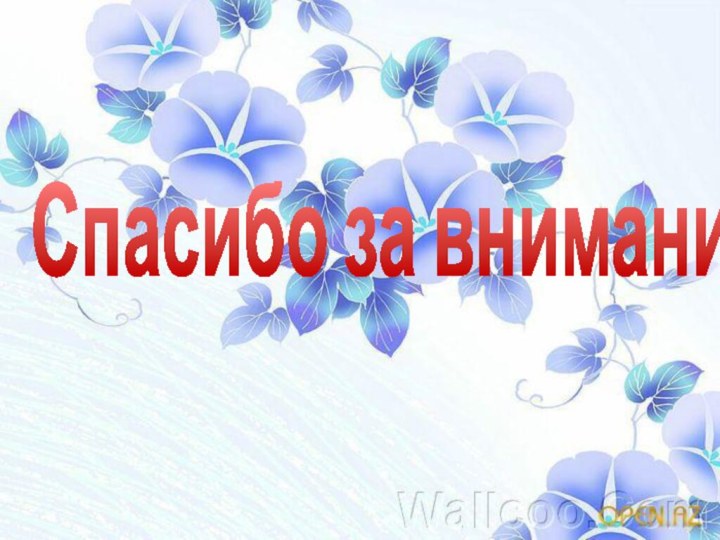Спасибо за внимание