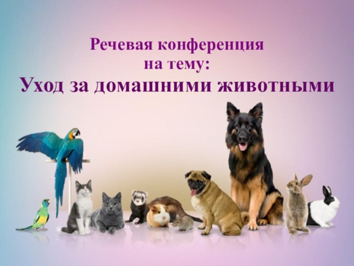 Речевая конференция на тему: Уход за домашними животными