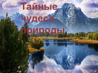 Конспект игрового занятия Тайные чудеса природы подготовительная группа план-конспект занятия (подготовительная группа)