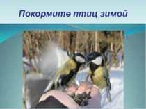 Презентация к методической разработке: Покормите птиц зимой презентация к уроку
