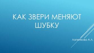 Как звери меняют шубку презентация к уроку по окружающему миру (старшая, подготовительная группа)