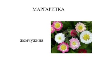 Правописание частицы НЕ с глаголами/ план-конспект занятия по русскому языку (3 класс)