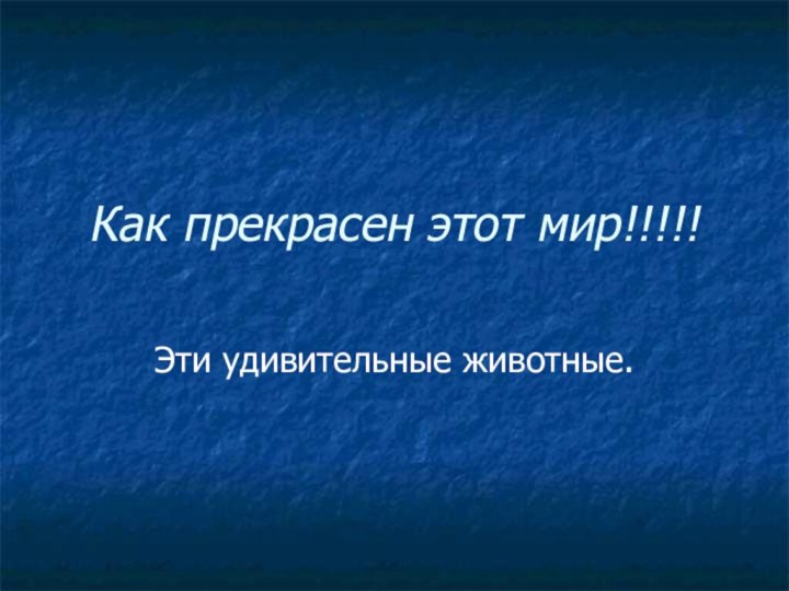 Как прекрасен этот мир!!!!!Эти удивительные животные.