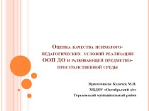 презентация Оценка качества психолого-педагогических условий реализации ООП ДО и развивающей предметно-пространственной среды презентация