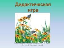 Дидактическая игра Явления природы презентация по окружающему миру