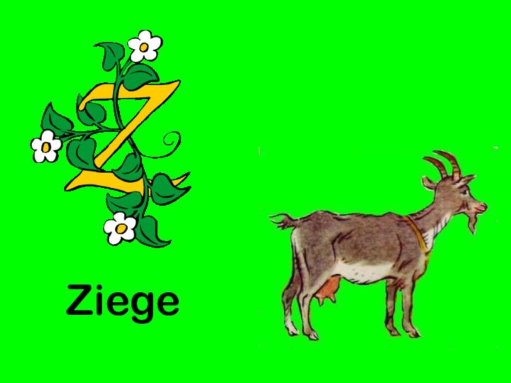 Ziege