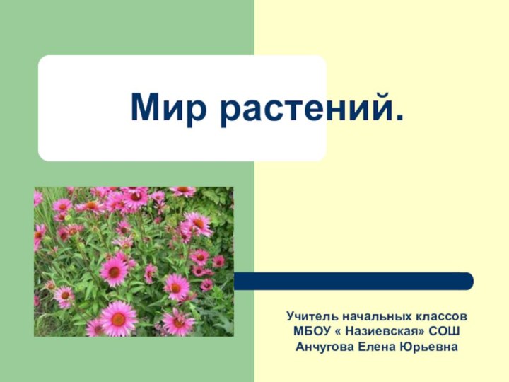 Мир растений.Учитель начальных классовМБОУ « Назиевская» СОШАнчугова Елена Юрьевна