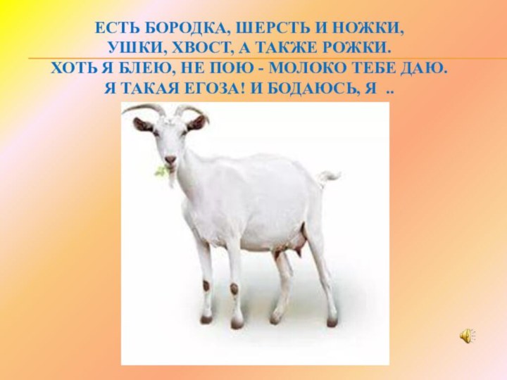 Есть бородка, шерсть и ножки, Ушки, хвост, а также рожки. Хоть я