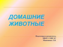 Презентация Домашние животные презентация к уроку по окружающему миру (младшая группа)