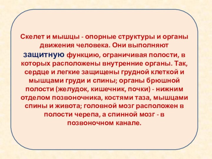 Скелет и мышцы - опорные структуры и органы движения человека. Они выполняют