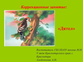 Коррекционное занятие Дятел методическая разработка (3 класс)