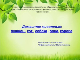 Интерактивная презентация Домашние животные презентация к уроку по окружающему миру (младшая группа)