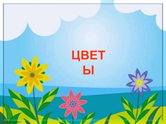 Мир цветов презентация урока для интерактивной доски по информатике (старшая группа)