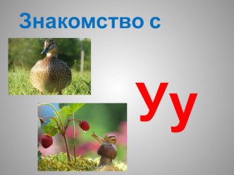 Знакомство с буквой Уу. презентация к уроку по чтению (1 класс)