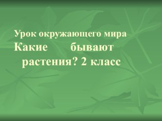 Презентация к уроку окружающего мира : Деревья, кустарники, травы. презентация к уроку (окружающий мир, 2 класс) по теме