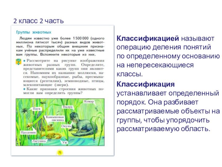 2 класс 2 частьКлассификацией называют операцию деления понятий по определенному основанию на