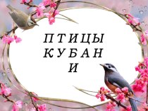 Птицы Кубани презентация к уроку (старшая группа)