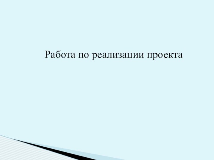 Работа по реализации проекта