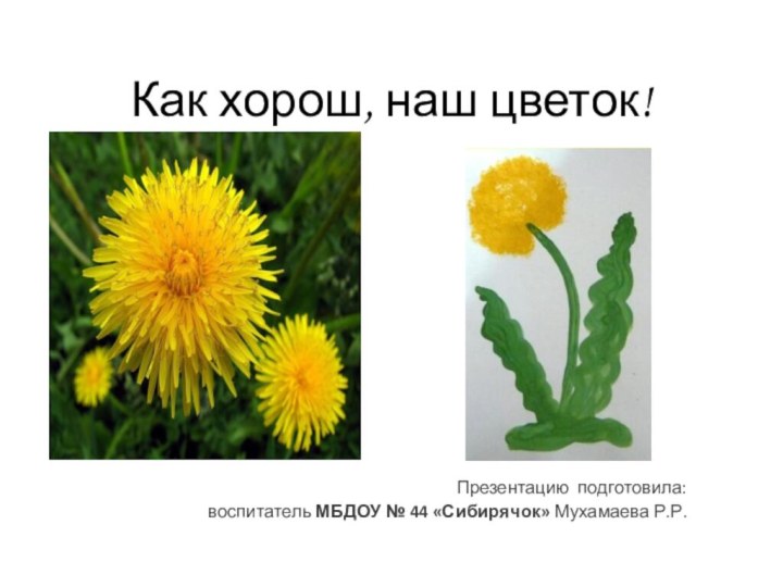 Как хорош, наш цветок!Презентацию подготовила: воспитатель МБДОУ № 44 «Сибирячок» Мухамаева Р.Р.