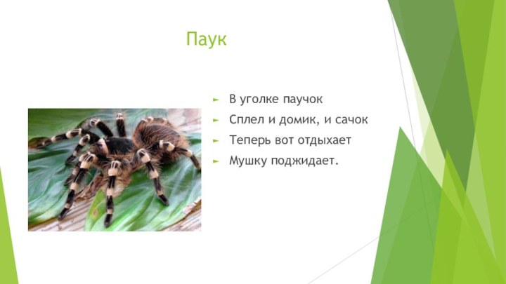 ПаукВ уголке паучокСплел и домик, и сачокТеперь вот отдыхаетМушку поджидает.