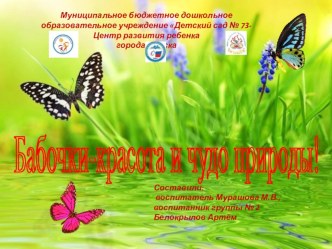 prezentatsiya babochki-krasota i chudo prirody