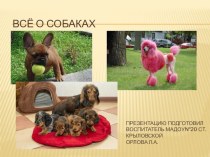 Презентация о собаках презентация к уроку по окружающему миру (подготовительная группа)