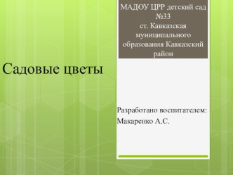 Летние цветы презентация к уроку по аппликации, лепке (средняя группа)