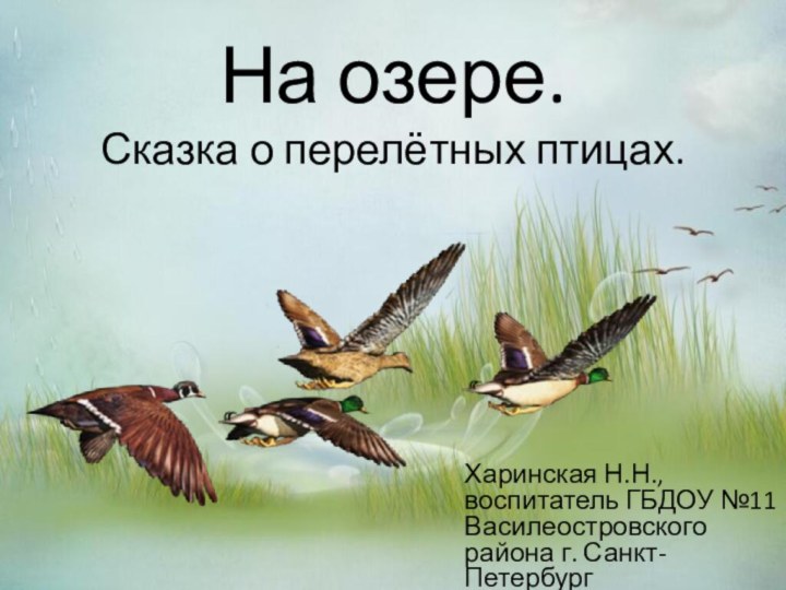 На озере. Сказка о перелётных птицах.Харинская Н.Н., воспитатель ГБДОУ №11 Василеостровского района г. Санкт-Петербург