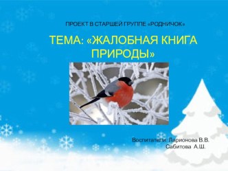 Проект в старшей группеЖалобная книга природы проект (старшая группа)
