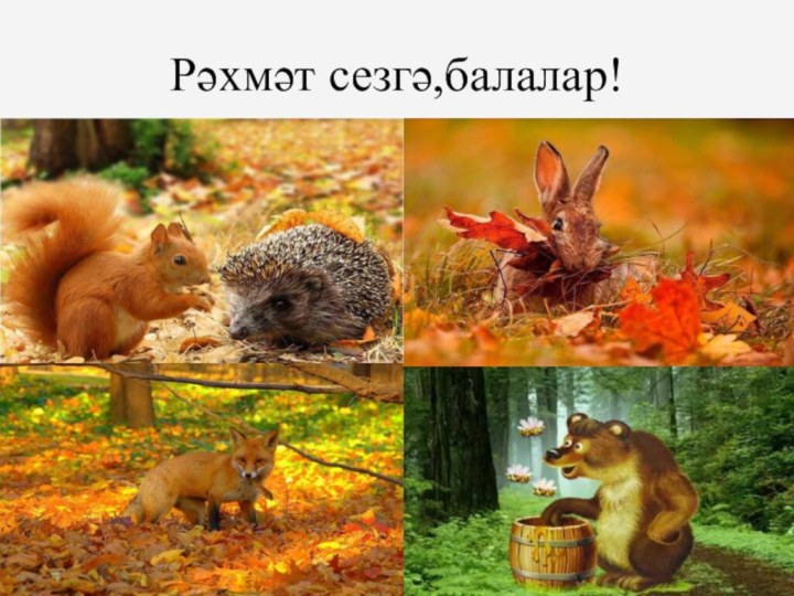 Рәхмәт сезгә,балалар!