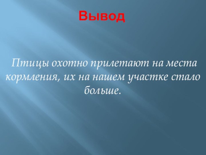 Вывод   Птицы охотно прилетают на места кормления, их на нашем участке стало больше.