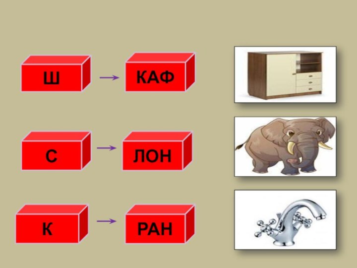 СЛОНШРАНКАФК