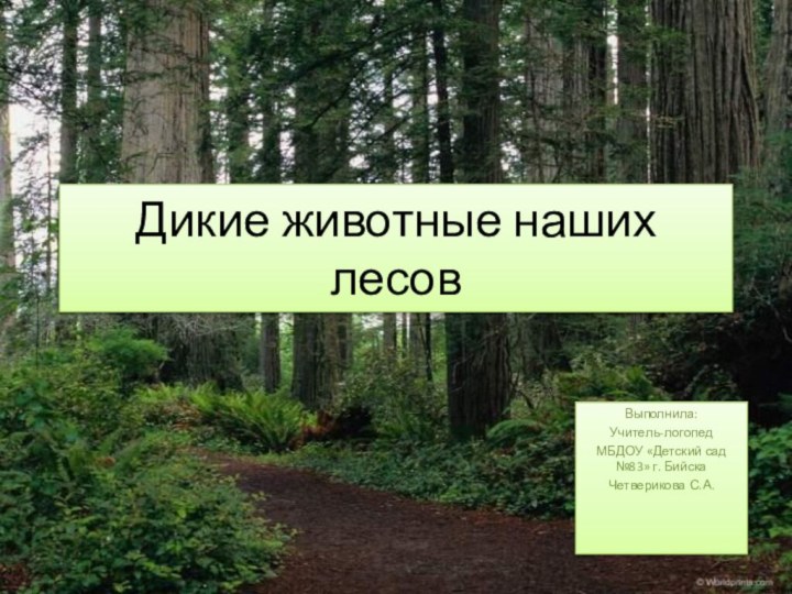 Дикие животные наших лесовВыполнила:Учитель-логопед МБДОУ «Детский сад №83» г. Бийска Четверикова С.А.