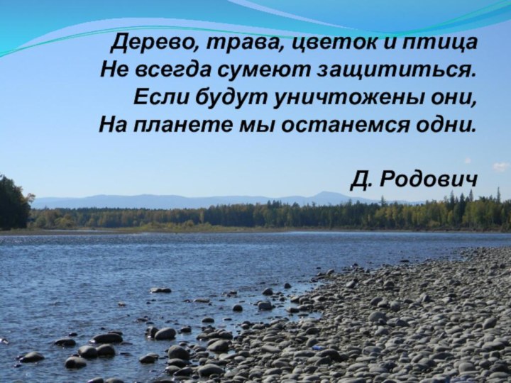 Дерево, трава, цветок и птица Не всегда сумеют защититься. Если будут