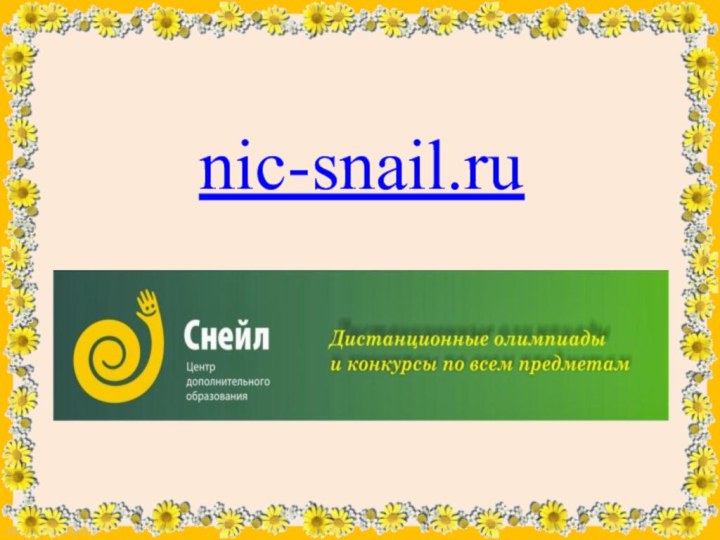 nic-snail.ru