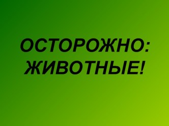 Презентация к уроку окружающего мира 2 класс Осторожно,животные презентация к уроку по окружающему миру (2 класс)