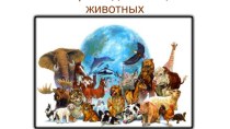 Всемирный день защиты животных материал по окружающему миру (подготовительная группа)