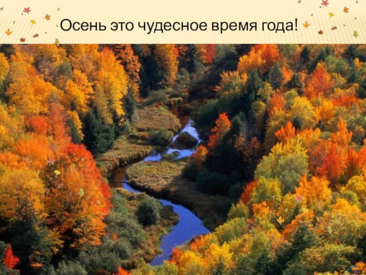 Осень это чудесное время года!