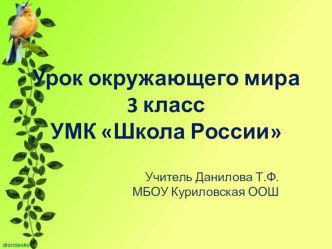 Урок по окружающему миру в 3 классе по теме Размножение и развитие животных. план-конспект урока по окружающему миру (3 класс)