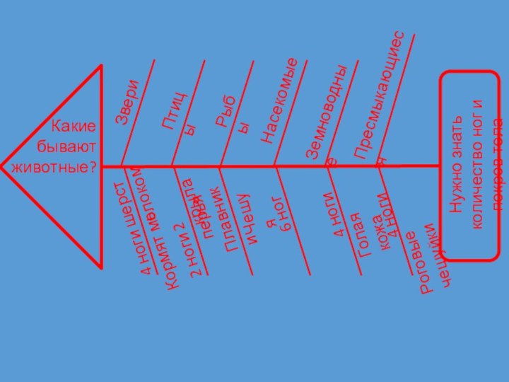 ЗвериПтицыРыбыНасекомыеЗемноводныеПресмыкающиеся4 ноги шерсть2 ноги перьяПлавникиЧешуя6 ног4 ногиГолая кожа4 ноги Роговые чешуйки Какие