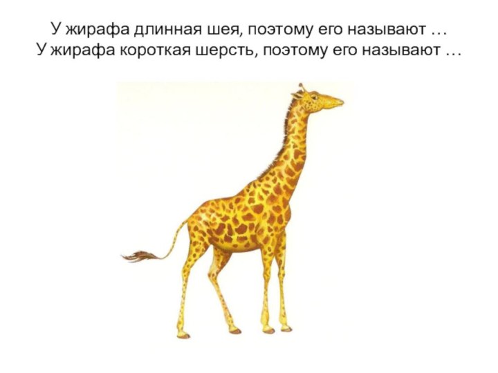 У жирафа длинная шея, поэтому его называют … У жирафа короткая шерсть, поэтому его называют …