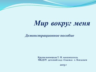 Методическое пособие Мир вокруг меня учебно-методическое пособие по обучению грамоте (подготовительная группа)