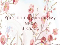 Презентация по окружающему миру 3 класс Птицы презентация к уроку по окружающему миру (3 класс)