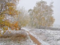 Конспект Хлеб план-конспект занятия по развитию речи (младшая группа)