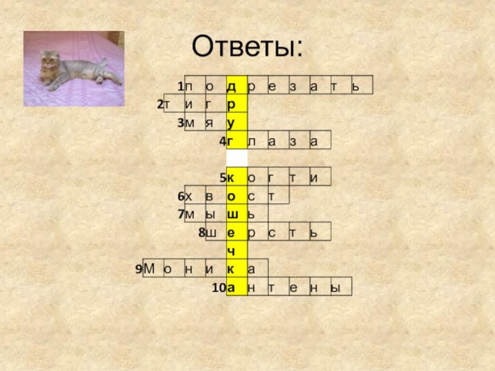 Ответы: